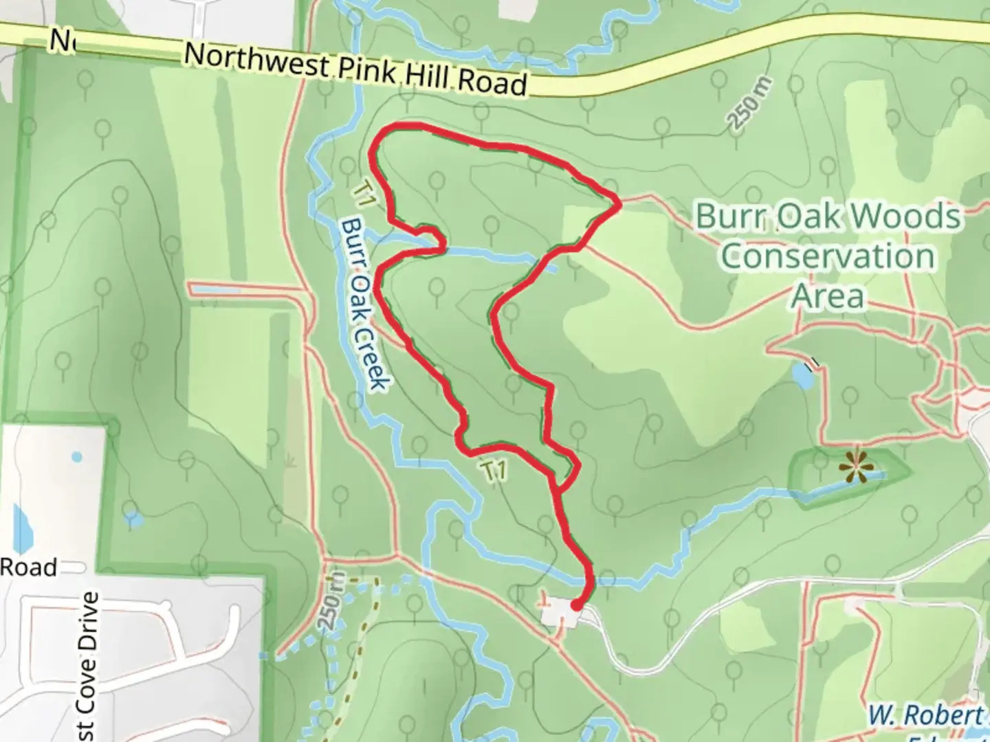 An image depicting the trail Bethany Falls Loop Trail and its surrounding area.