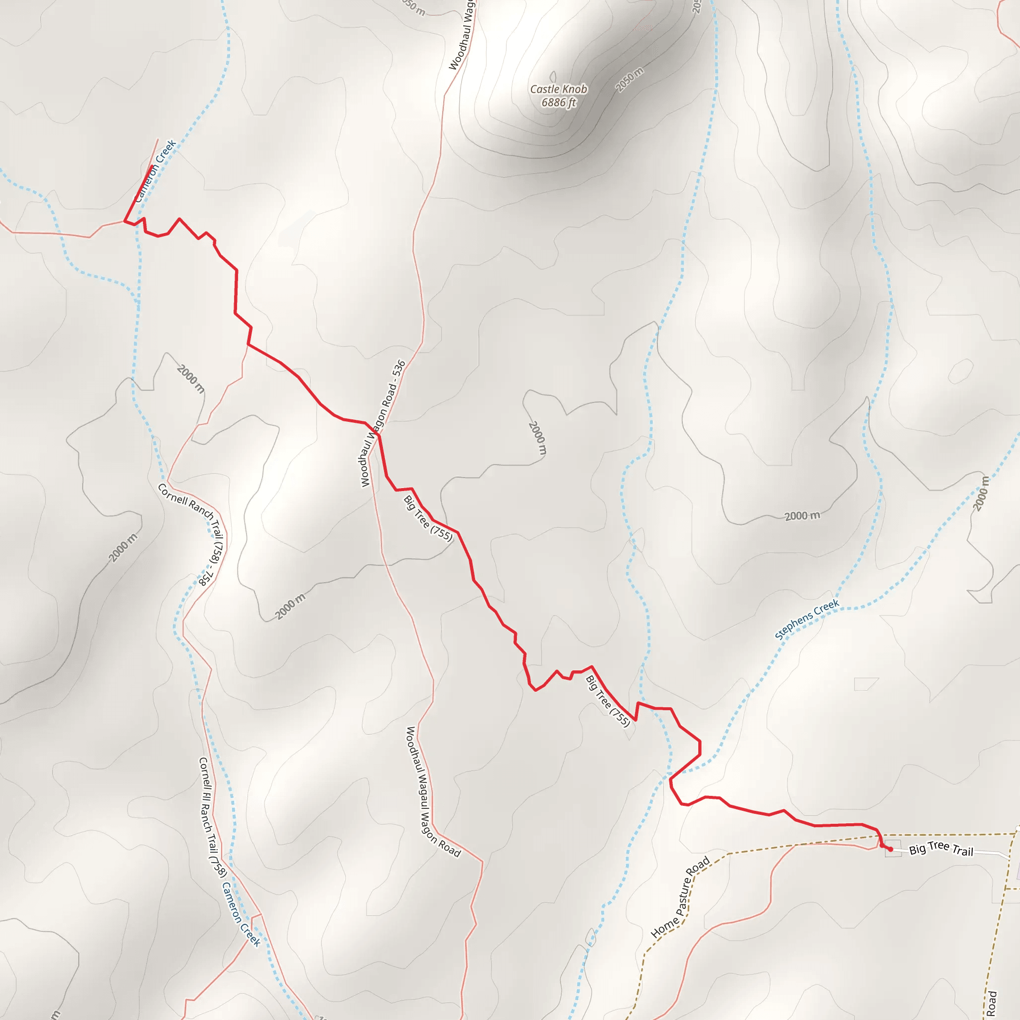 Cameron Creek via Big Tree Trail mobile static map
