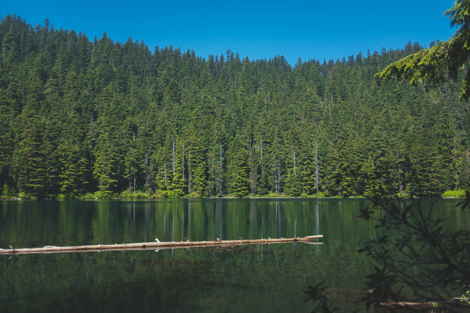 An image depicting the trail Buck Lake Trail and its surrounding area.