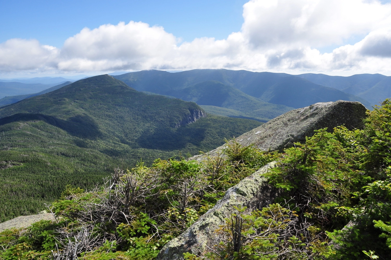 An image depicting the trail Gale River Trail and its surrounding area.