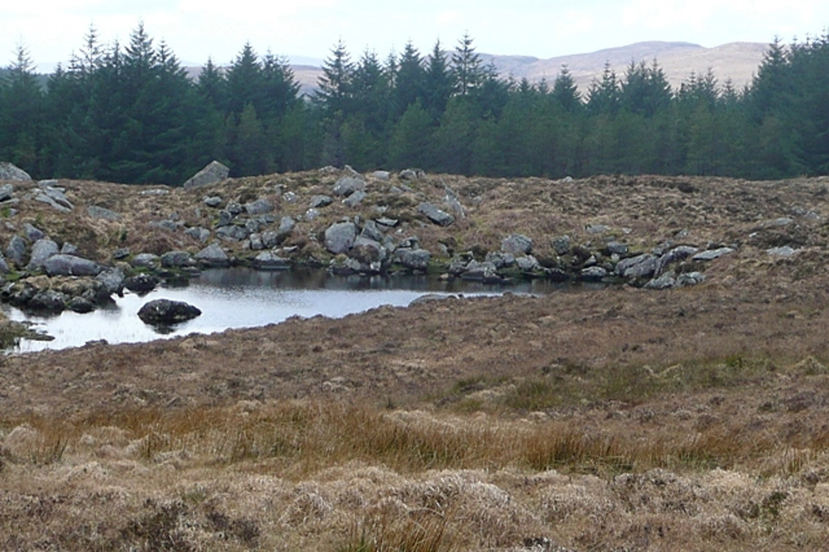 An image depicting the trail New Village - Lough Seecon Trail and its surrounding area.
