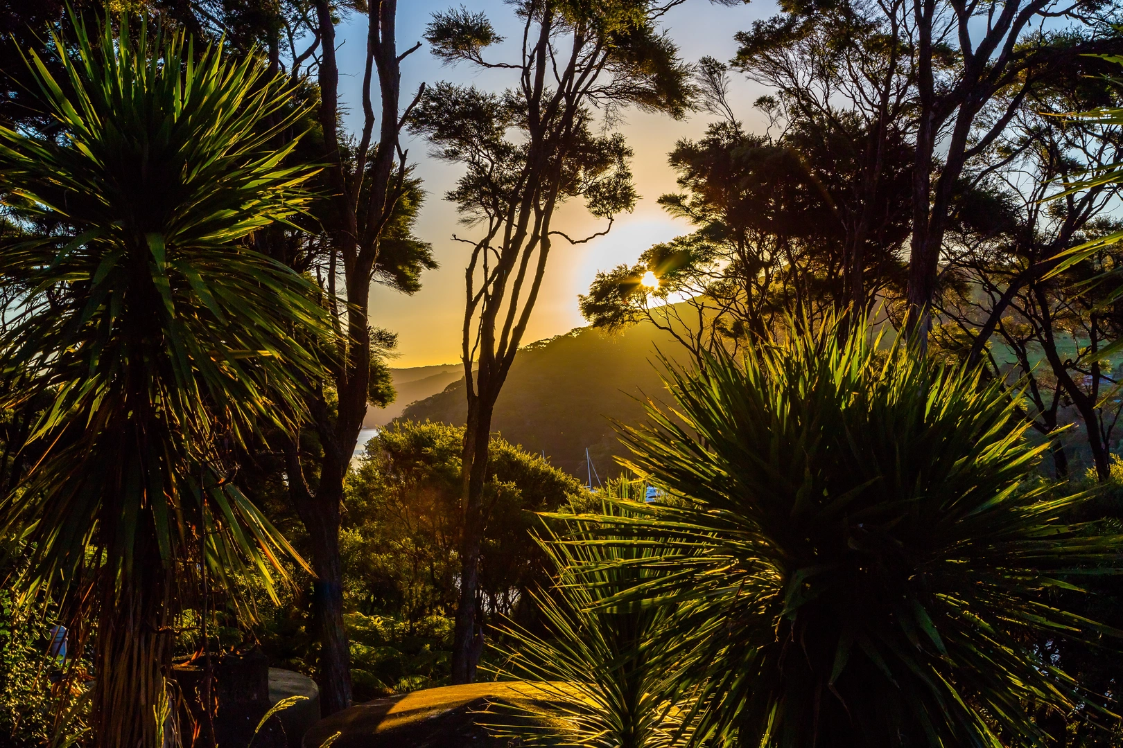An image depicting the trail Port FitzRoy - Warrens and Bridle Track and its surrounding area.
