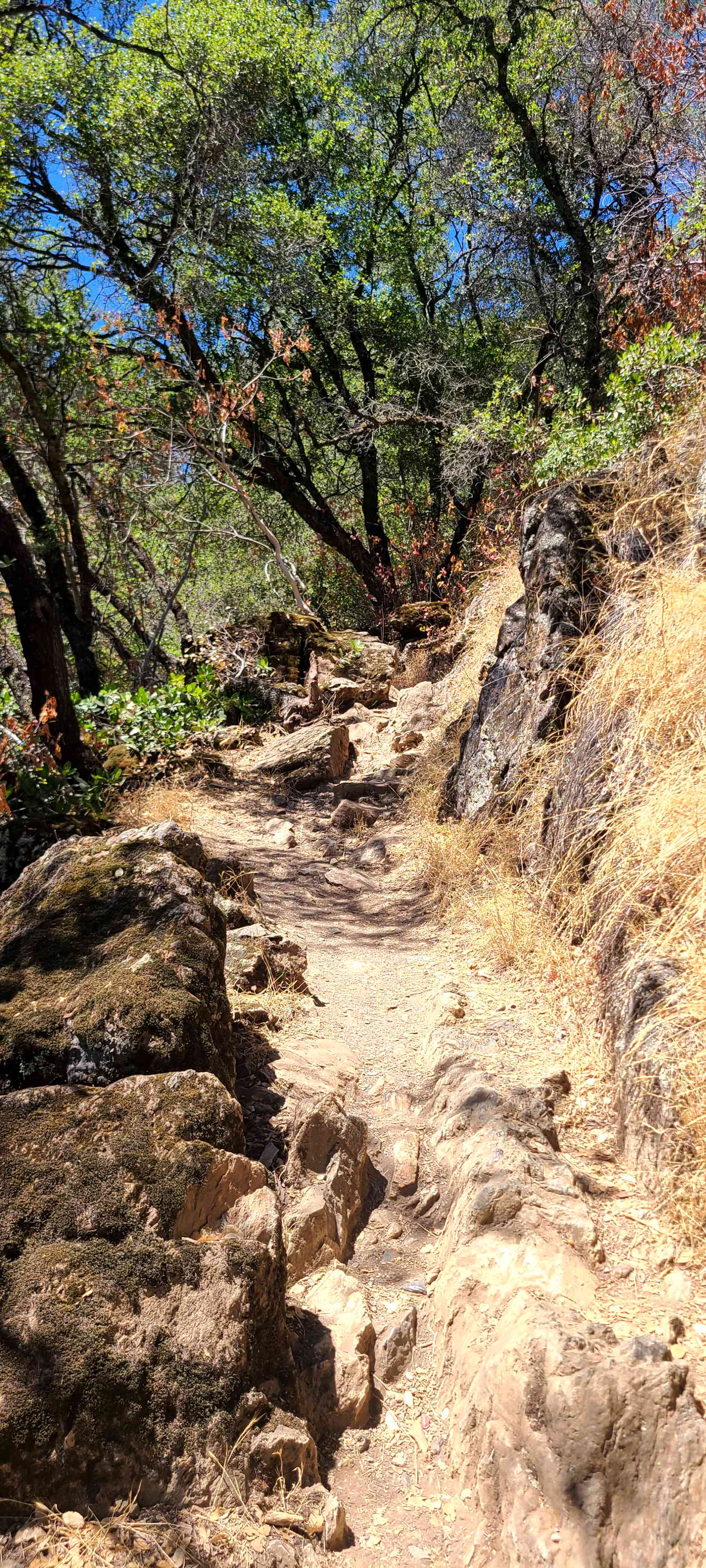 A map preview of the recording Hike on Shirland Canal Trail and ADT to North Fork American River.