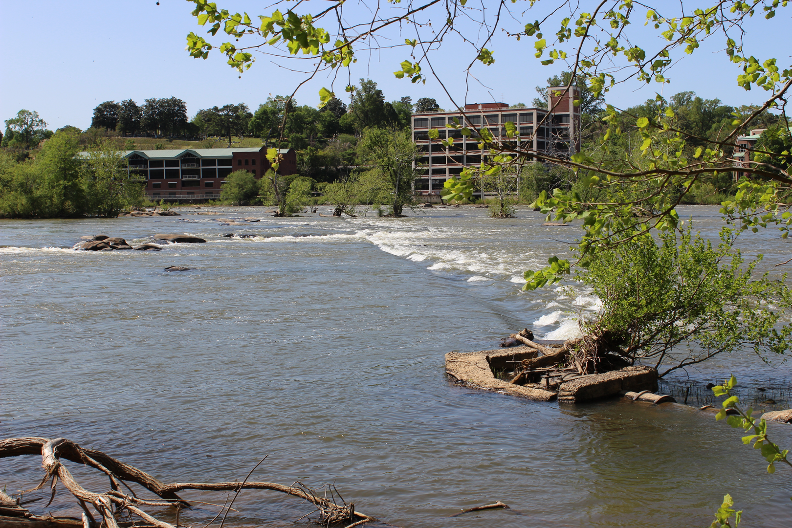 An image depicting the trail Brewers Point via Neck Fields Trail and its surrounding area.