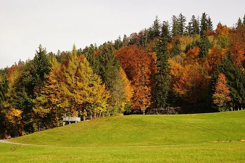 Vöcklamarkt to Ziegelhaid Loop 2 via Pfaffing Church