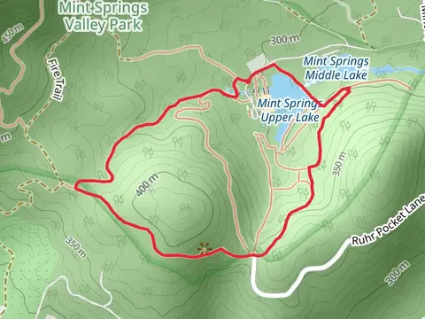 Little Yellow Mountain and Mint Springs Upper Lake Loop