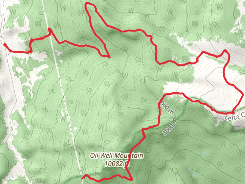 Burn Trail