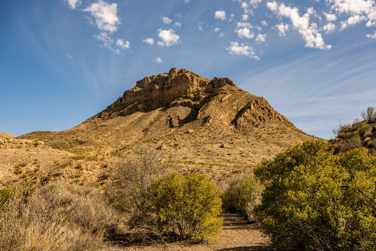 Persimmon Gap Draw Trail