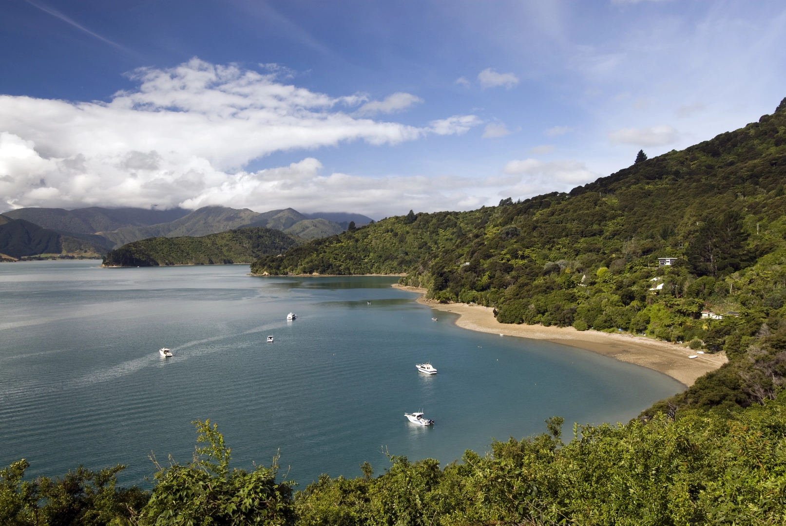 An image depicting the trail Torea Saddle to Anakiwa via Queen Charlotte Track and its surrounding area.
