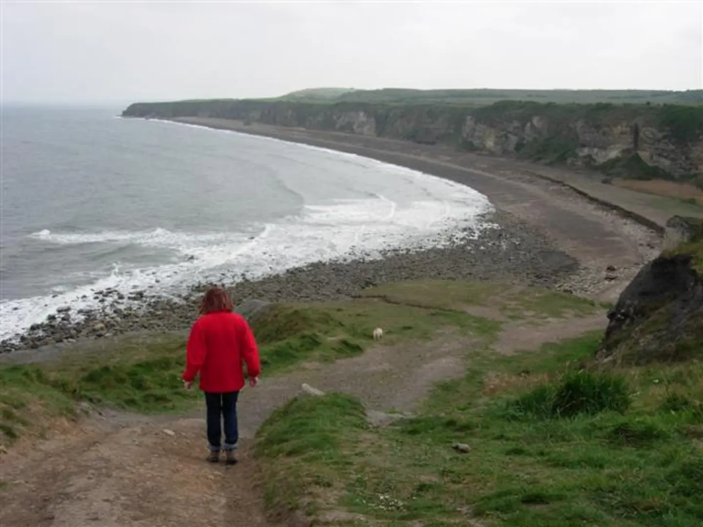An image depicting the trail Nose Point LNR and Durcham Coastal Path and its surrounding area.