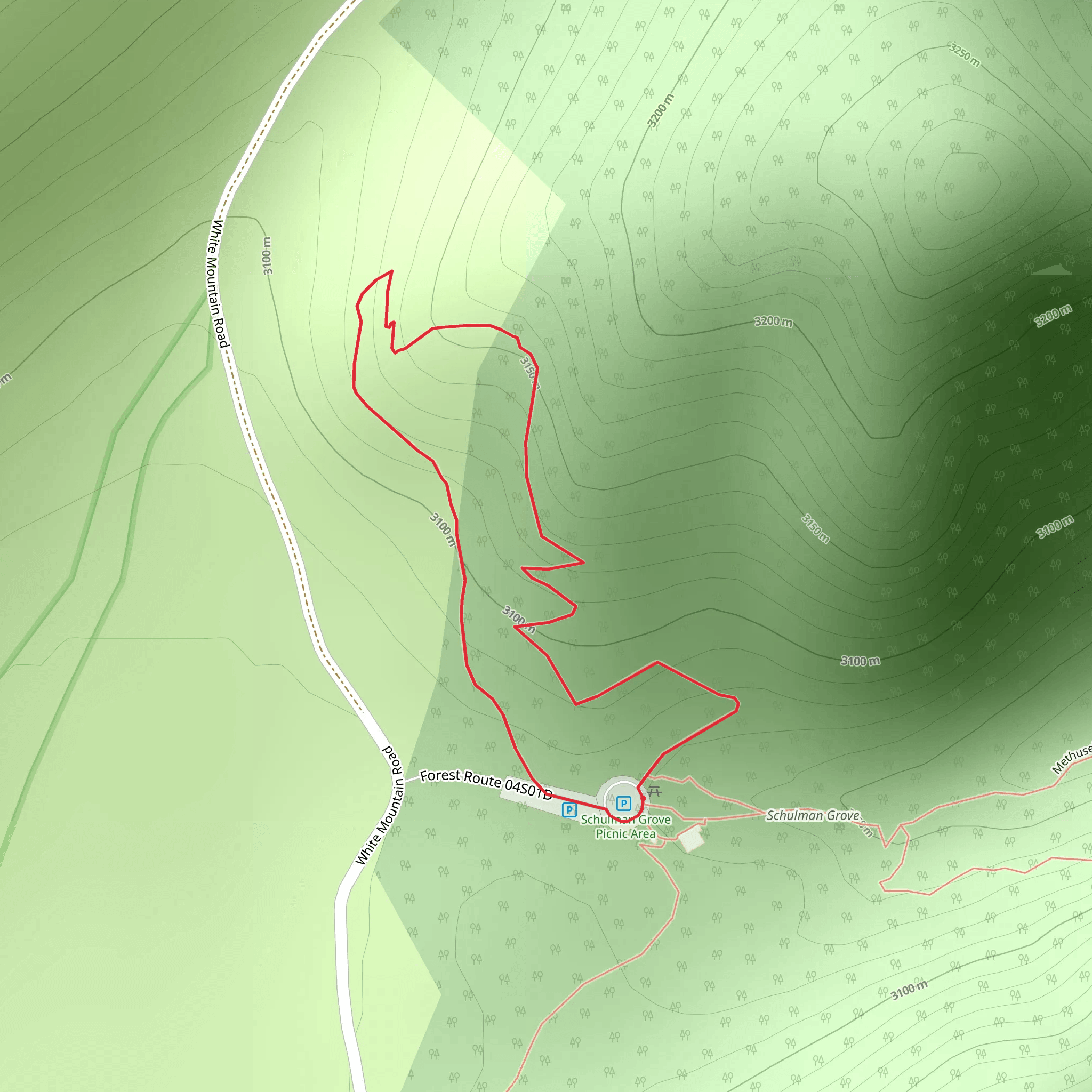 White Mountain Road Forest Route Short Loop mobile static map