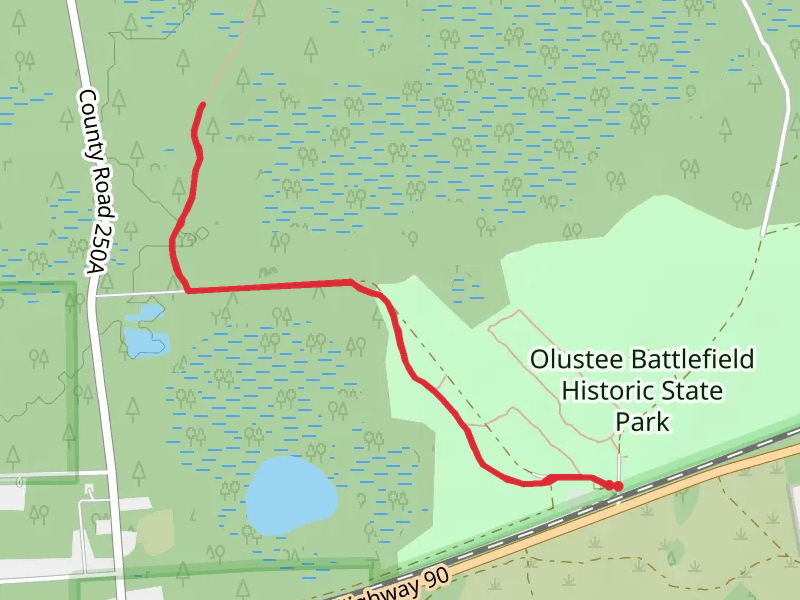 Olustee Battlefield Historic State Park Trail - Short