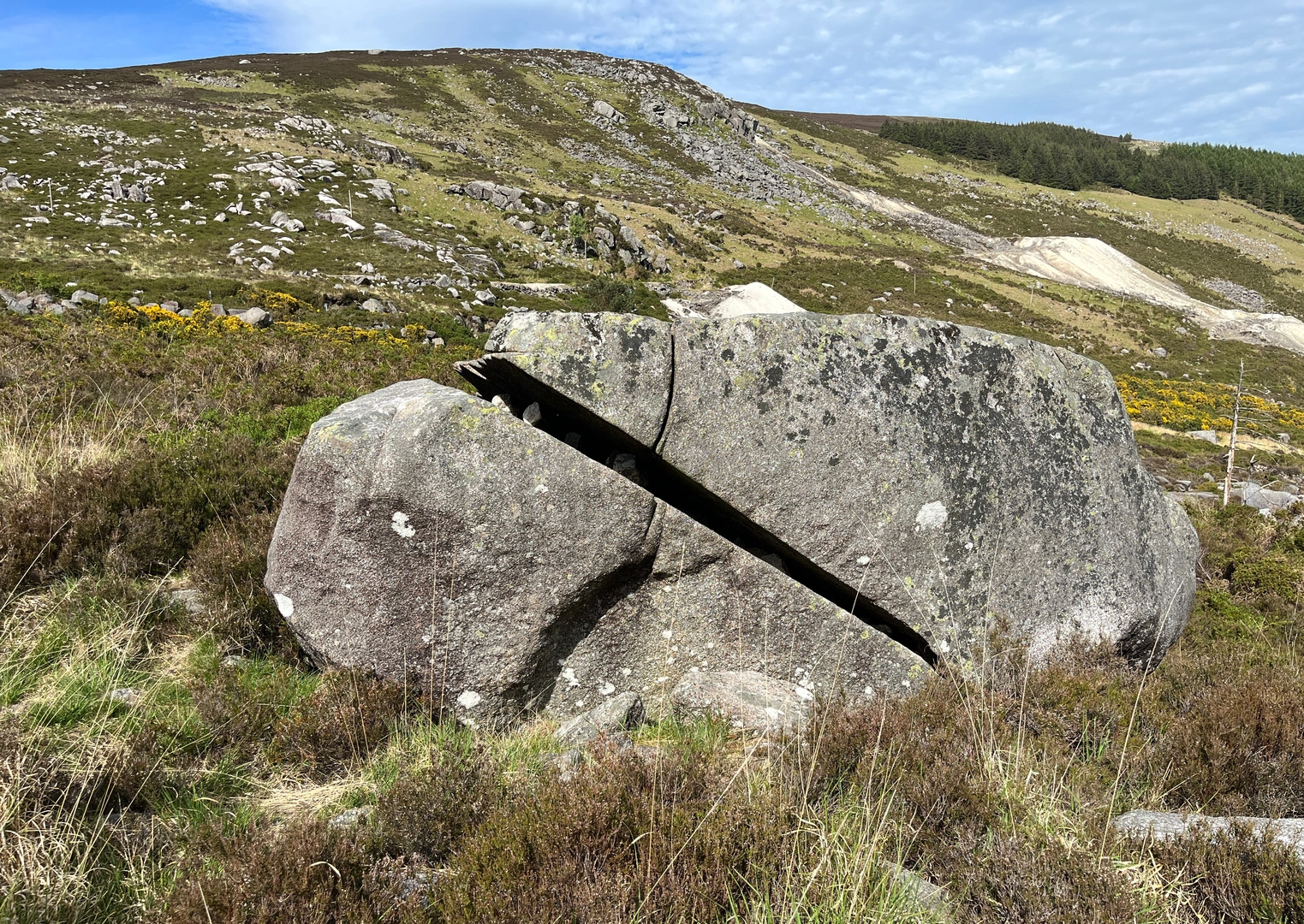 An image depicting the trail Brockagh and St Kevins Loop and its surrounding area.