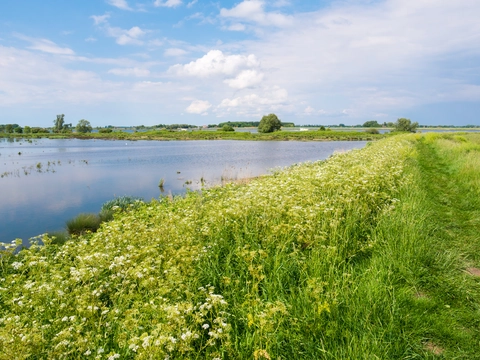 Middelharnis, Haringvliet and Nieuw Schuddebeurs Loop
