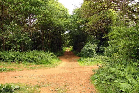 Shotover Country Park Loop