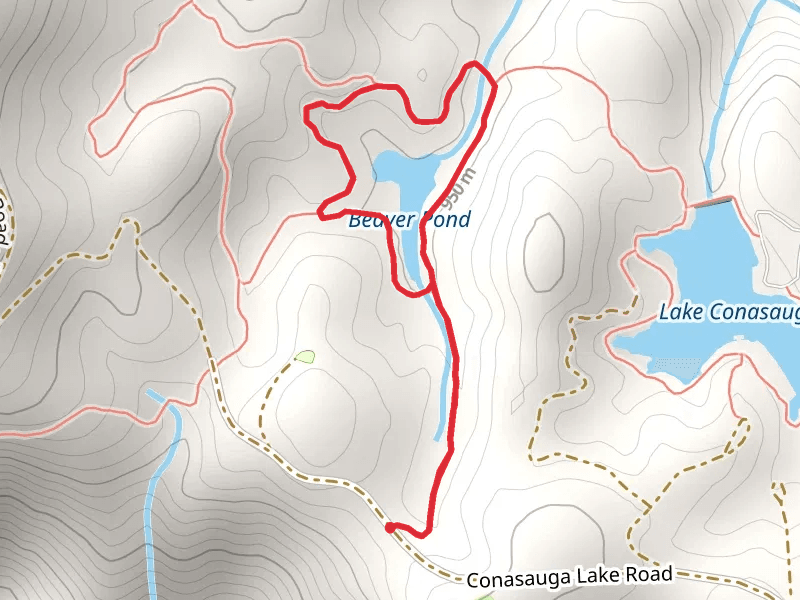 Beaver Pond Loop