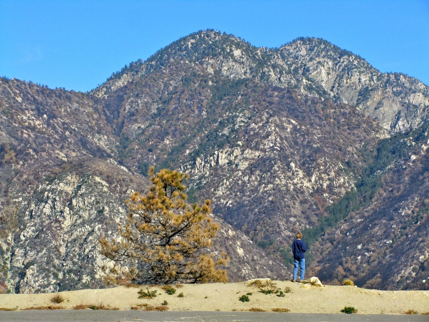 An image depicting the trail Twin Peaks from Three Points Trailhead and its surrounding area.