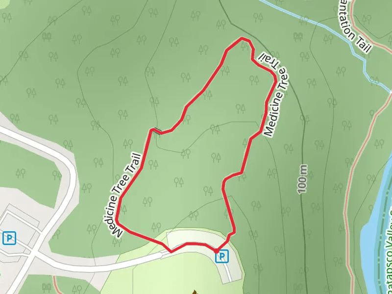 Medicine Tree Loop Trail