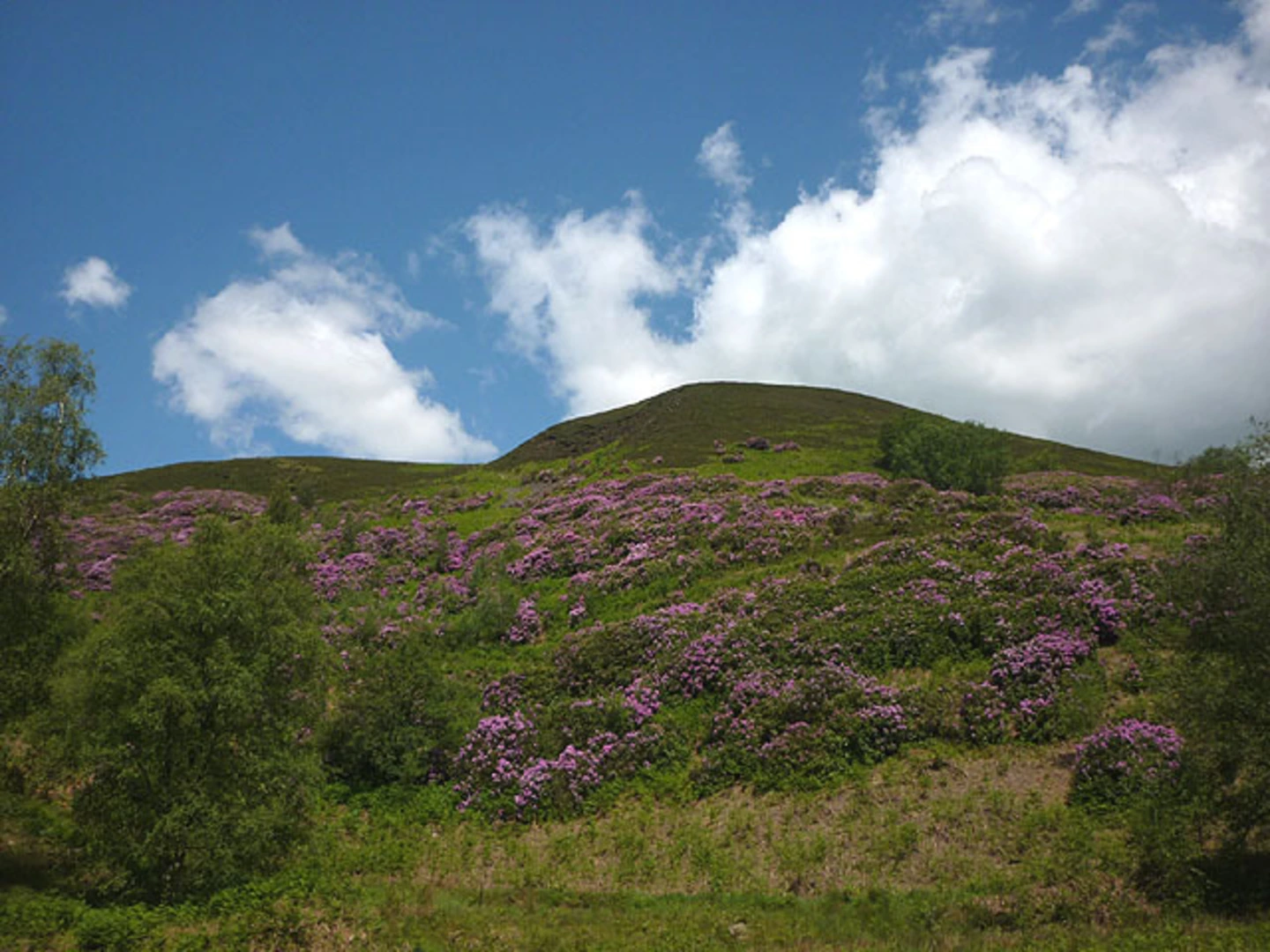 An image depicting the trail Nicky Nook Loop and its surrounding area.