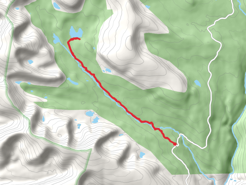 Queant Lake via West Fork Whiterocks Trail