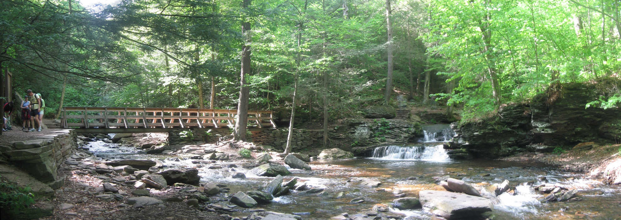 An image depicting the trail Evergreen Trail Loop and its surrounding area.