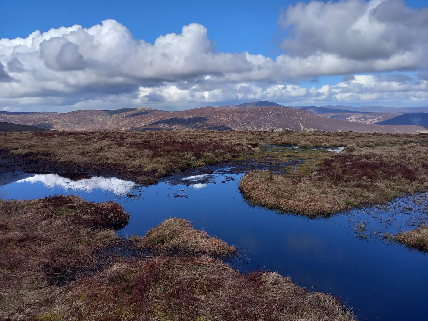 An image depicting the trail Derrybawn, Mullacor and Lugduff Loop and its surrounding area.