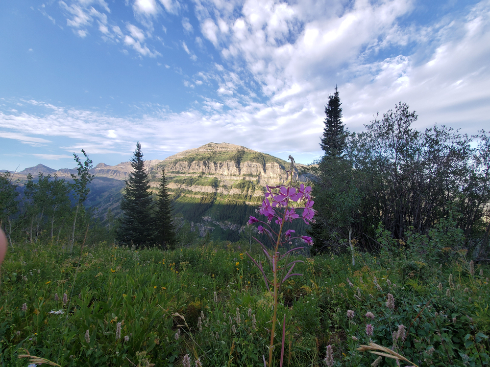 An image depicting the trail Grand Teton National Park and its surrounding area.
