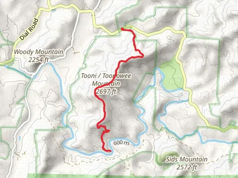 Tooni Mountain via Benton MacKaye Trail