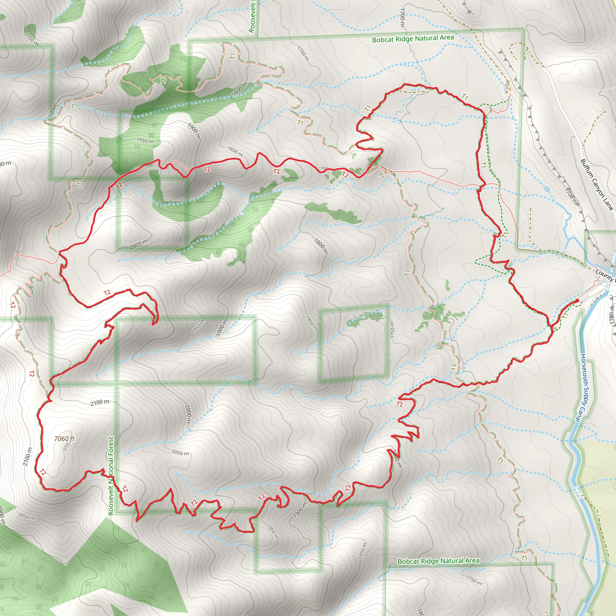 Power Line, Ginny Trail and Valley Loop Trail | Larimer County | Color
