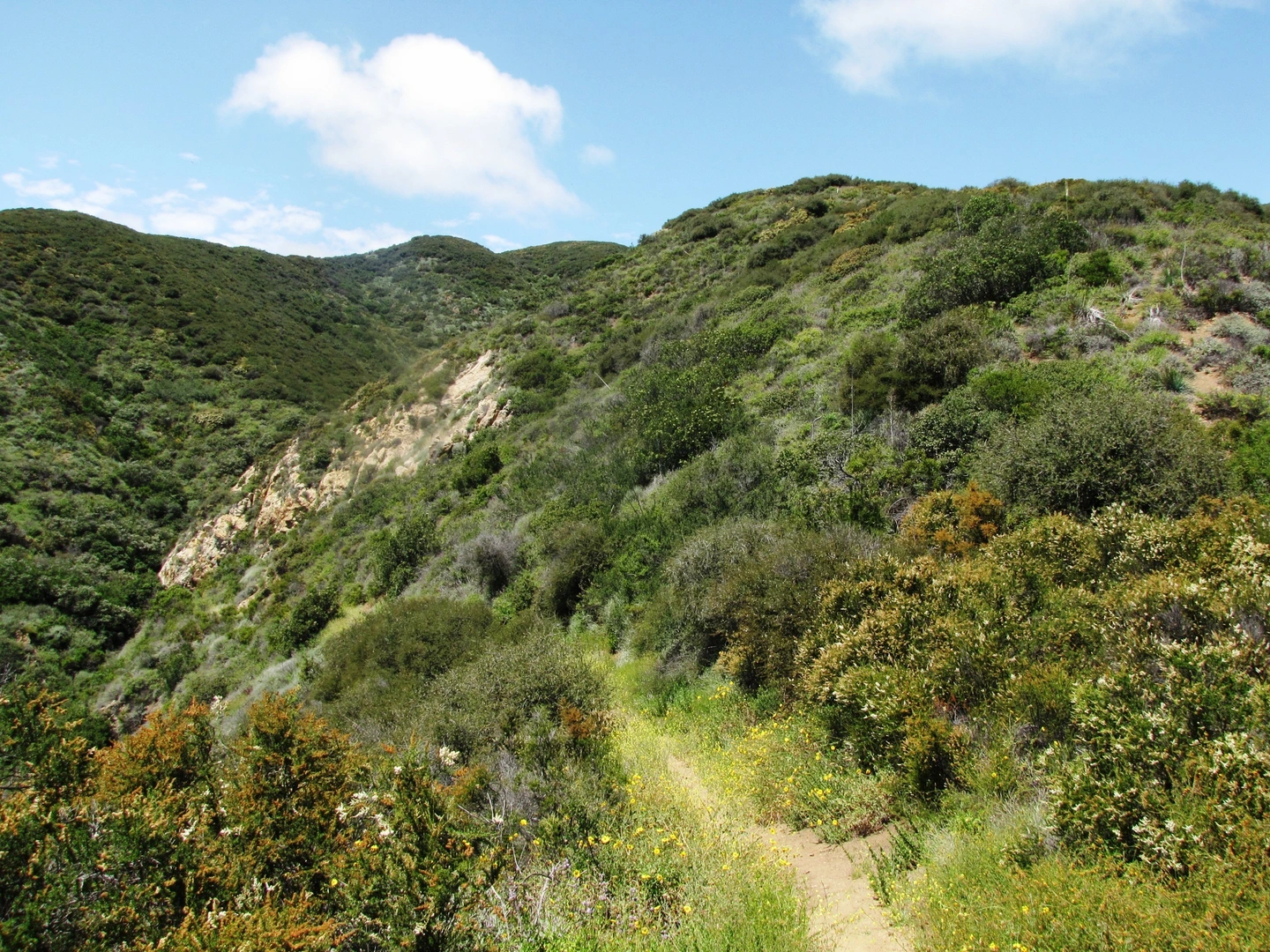 An image depicting the trail Ridge Canyon Access Trail and its surrounding area.