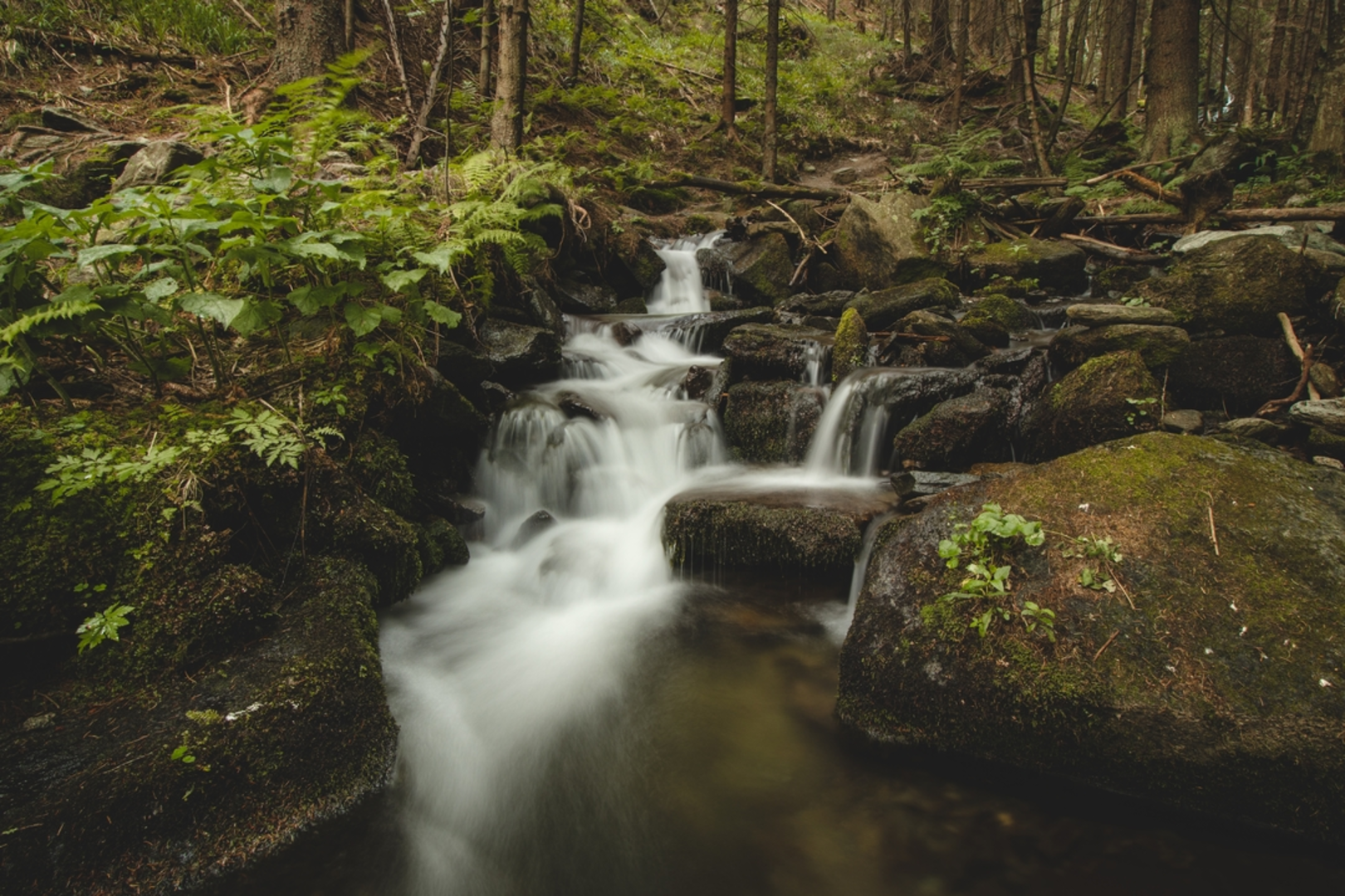 An image depicting the trail Waldbach - Hochwechsel Trail and its surrounding area.