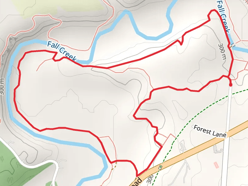 Cayuga and Fall Creek Loop Trail