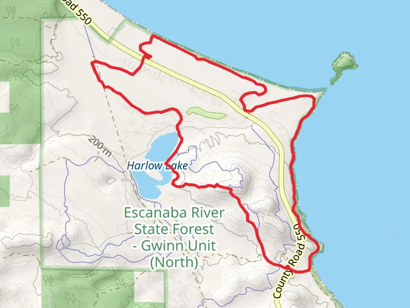 Bareback, Red Pine and Shoreline Loop Trail