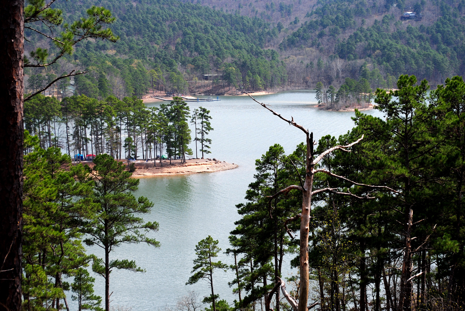 An image depicting the trail Ouachita National Recreation Trail and its surrounding area.