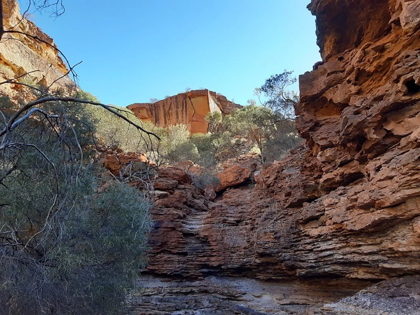An image depicting the trail Temple Gorge Trail and its surrounding area.