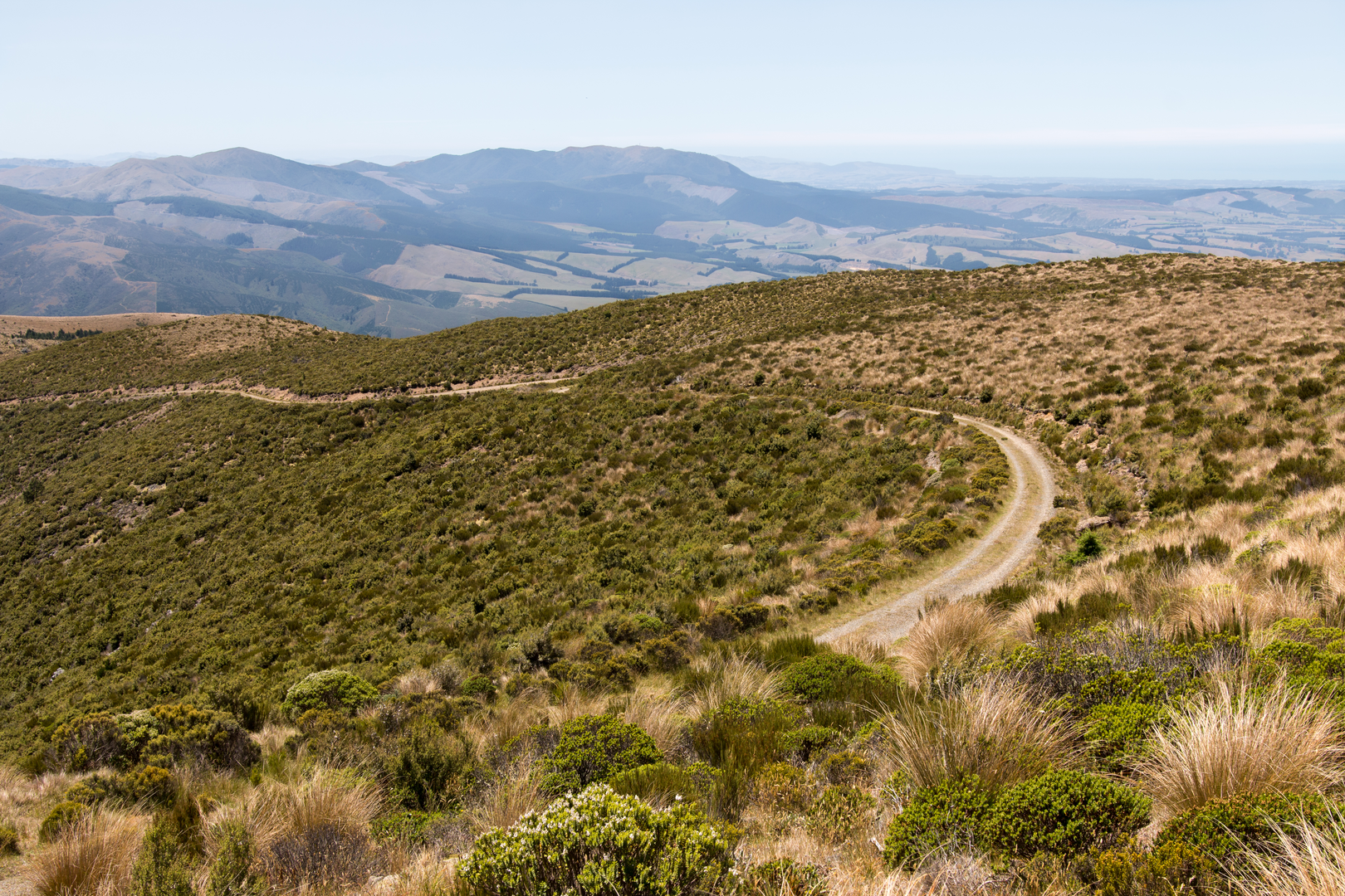An image depicting the trail Mt Thomas - Ridge Track and its surrounding area.