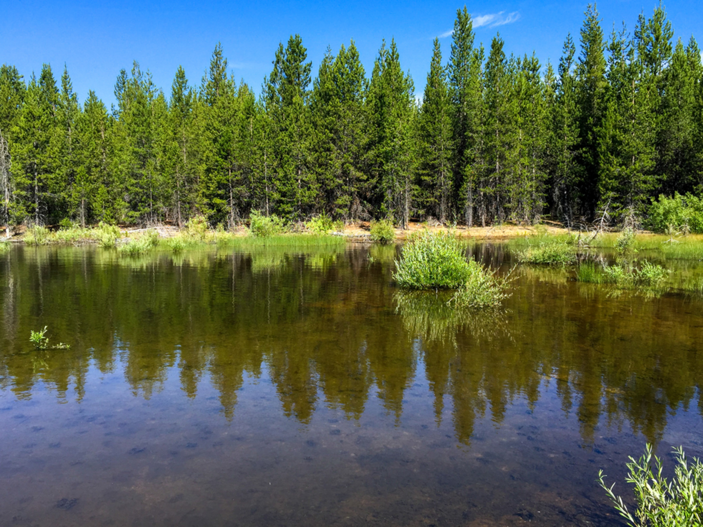 An image depicting the trail Fawn Lake Trail and its surrounding area.