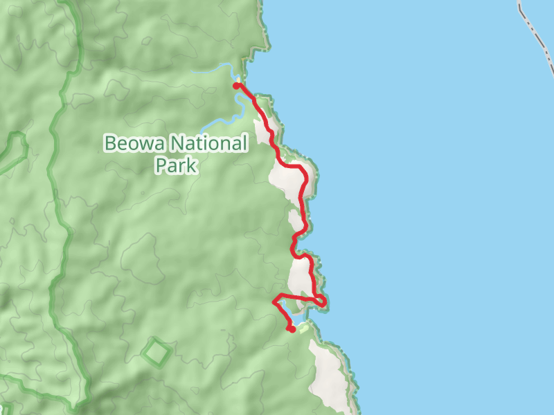 Saltwater Creek to Bittangabee Bay Track