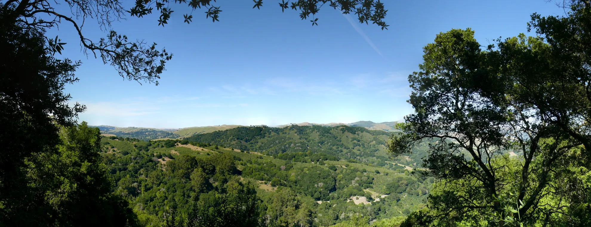 An image depicting the trail Goldenrod Trail and Jackson Grade Trail Loop and its surrounding area.