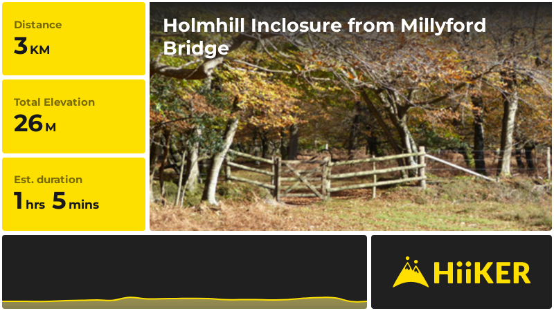 Holmhill Inclosure from Millyford Bridge | Hampshire | England
