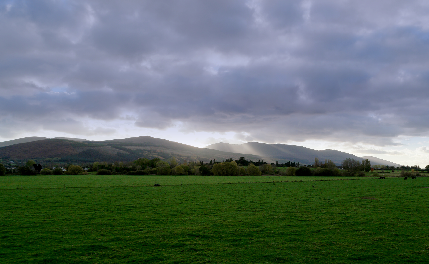 An image depicting the trail Knockmealdowns Trails - Duck Pond Loop and its surrounding area.