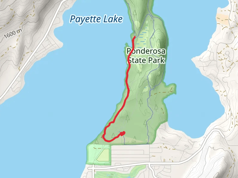 Payette Lake - Peninsula Trail