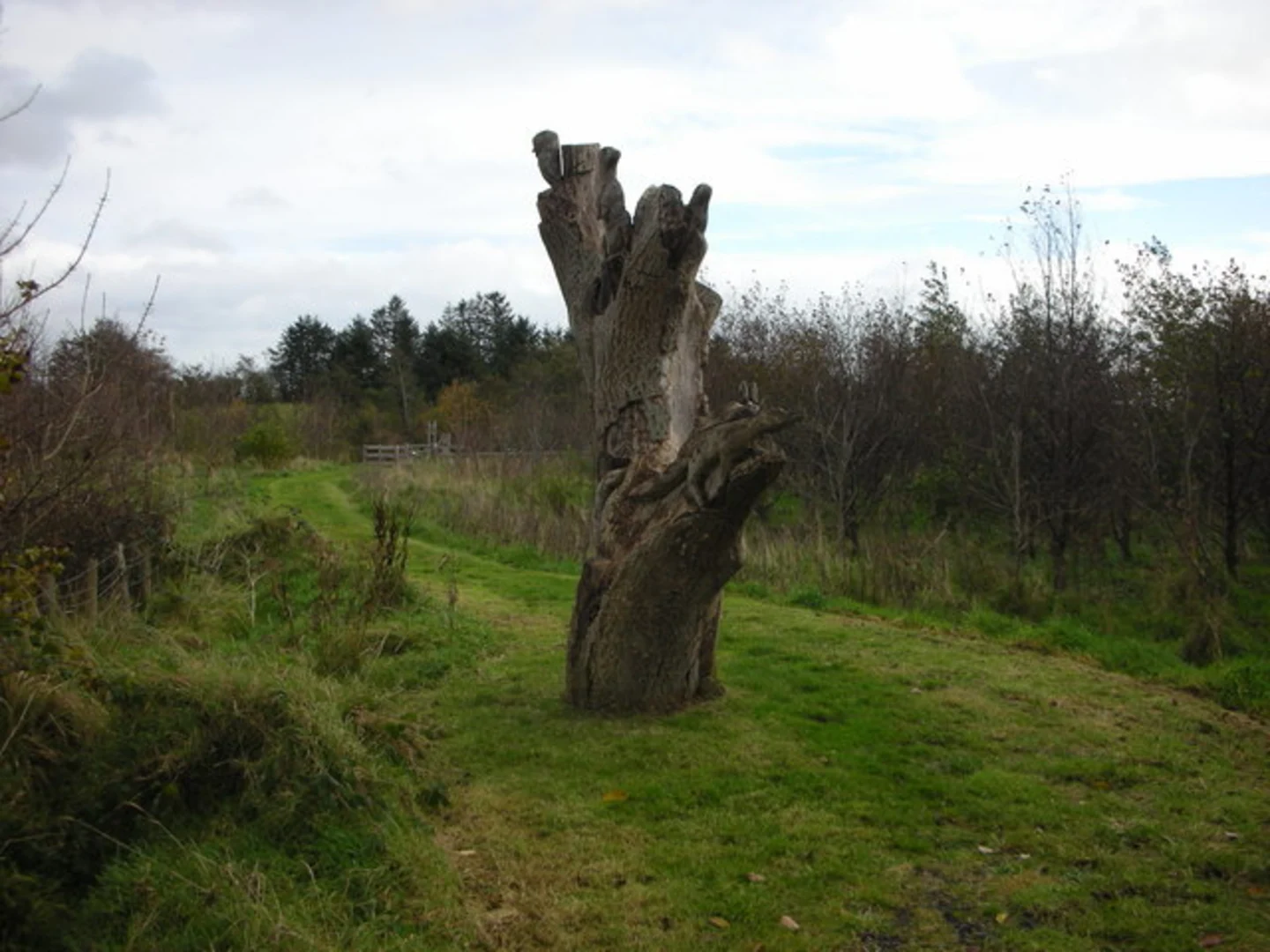 An image depicting the trail Drumnaph Woodland Trail and its surrounding area.