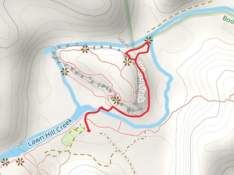 Wild Dog Dreaming Track