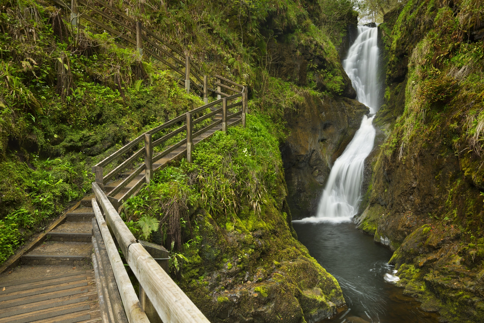 An image depicting the trail Glenariff Forest Park - Scenic Trail and its surrounding area.
