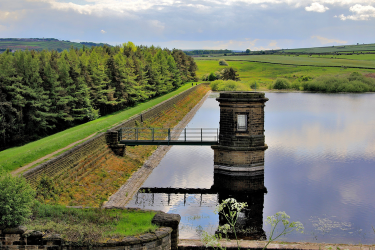 Scout Dike, Royd Moor and Ingbirchworth Reservoirs