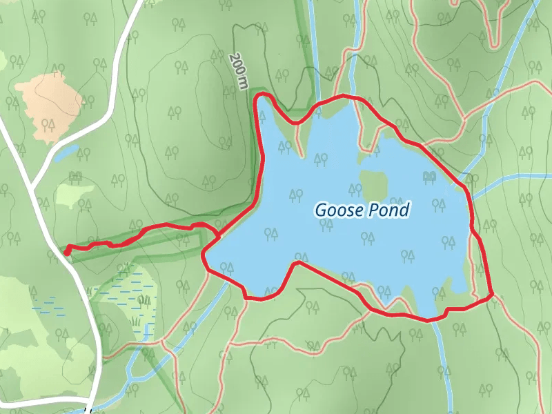 Goose Pond from East Surry Road