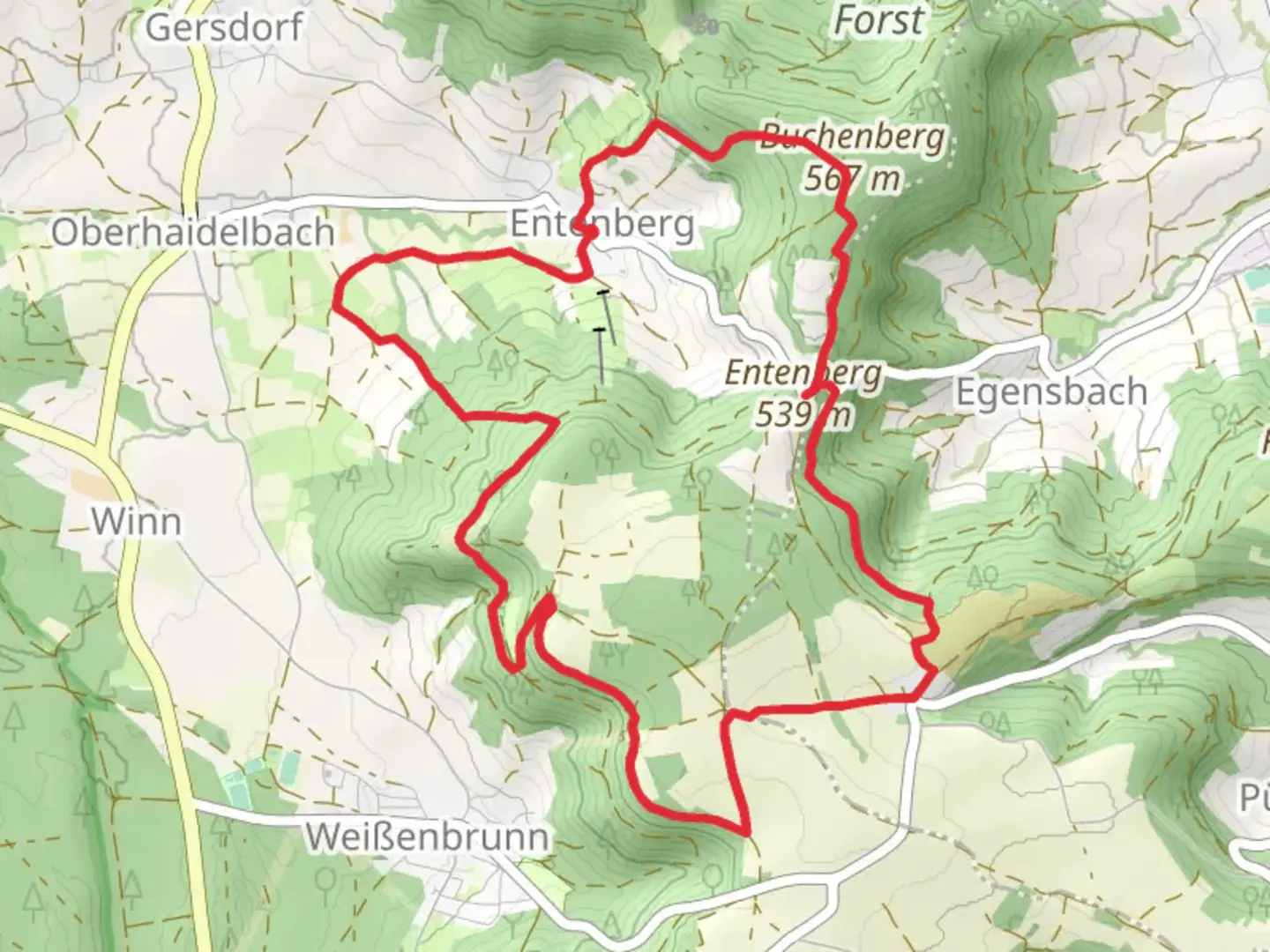 An image depicting the trail Im Buchenwald and its surrounding area.