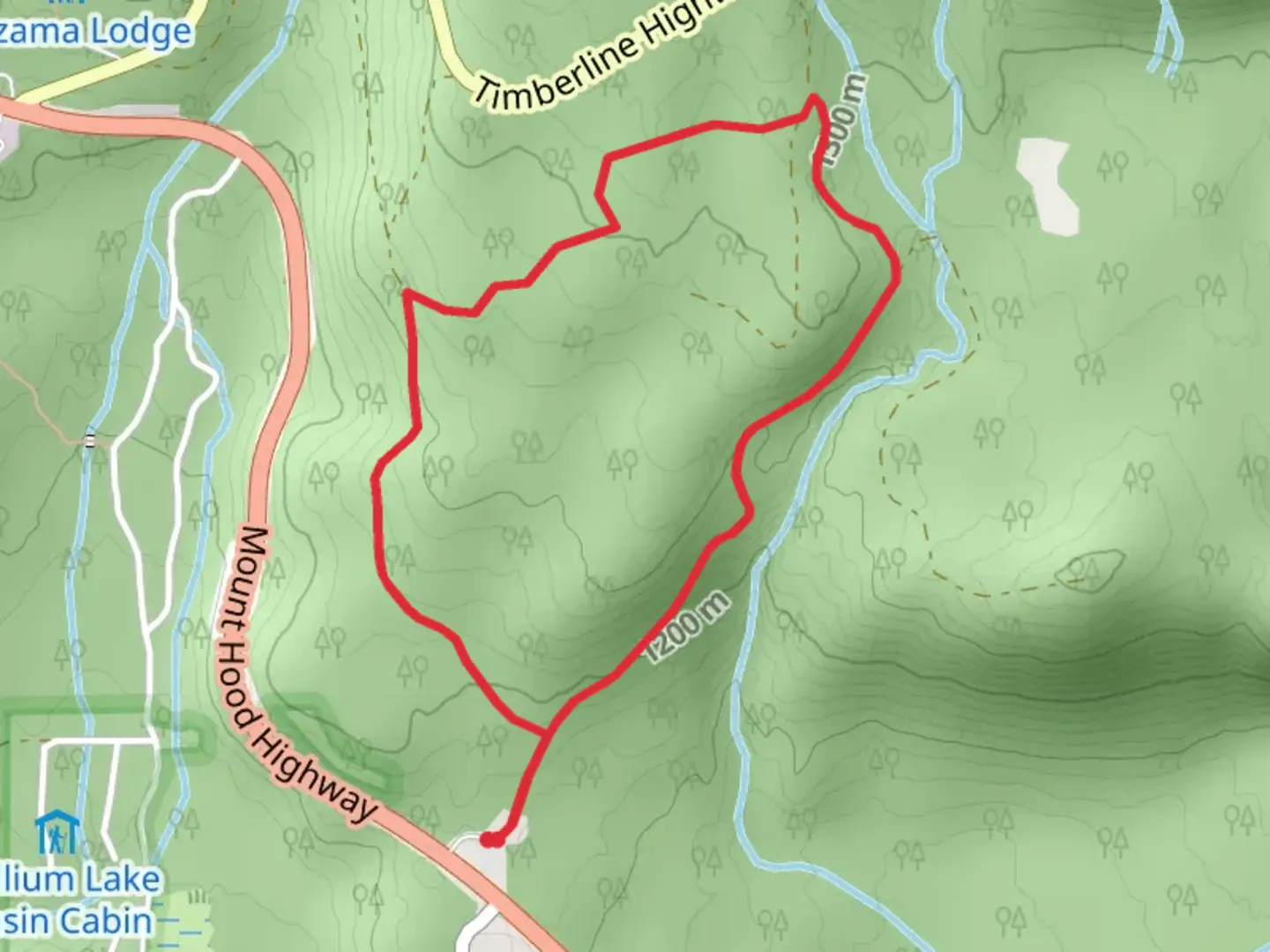 An image depicting the trail Timberline East Leg Loop and its surrounding area.