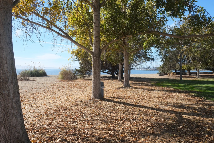 Marsh Overlook via Shore Line Drive